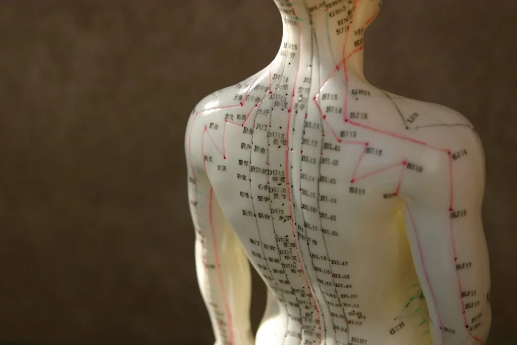 Méridiens et points d'acupression acupuncture en médecine traditionnelle asiatique